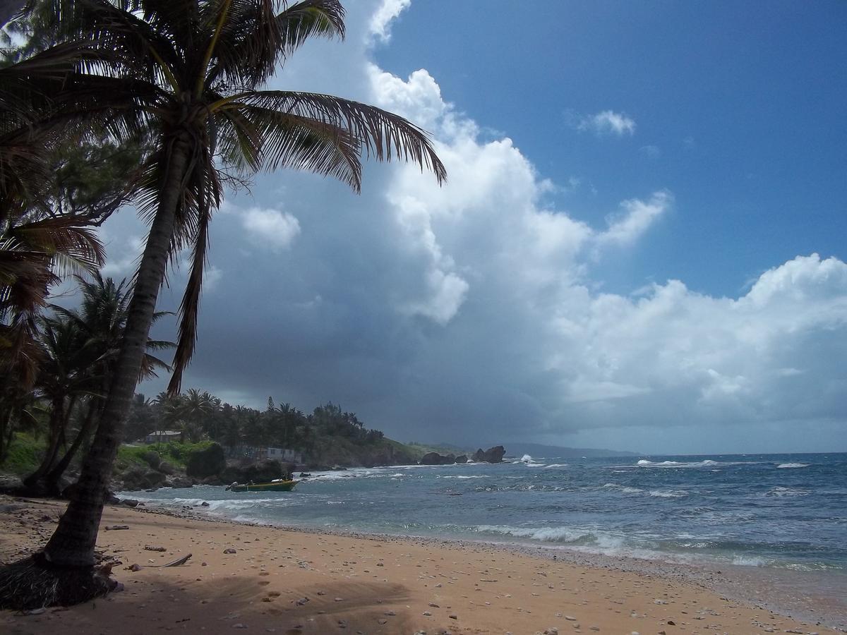 Ocean Ridge At Long Beach Christ Church Ngoại thất bức ảnh